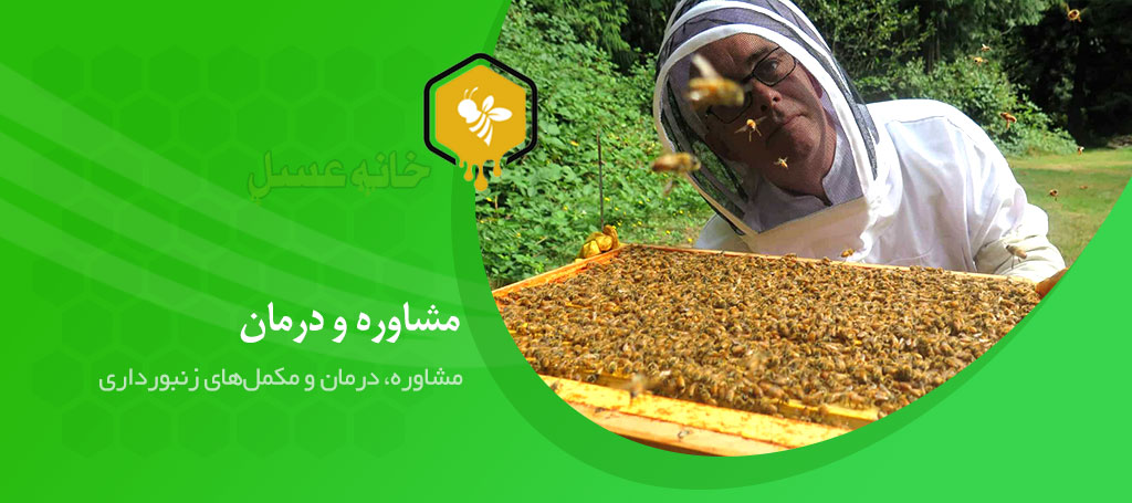 مشاوره و درمان زنبورعسل